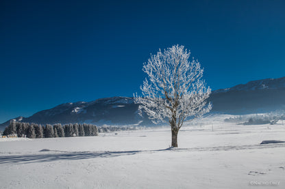 Le Coffret du quotidien