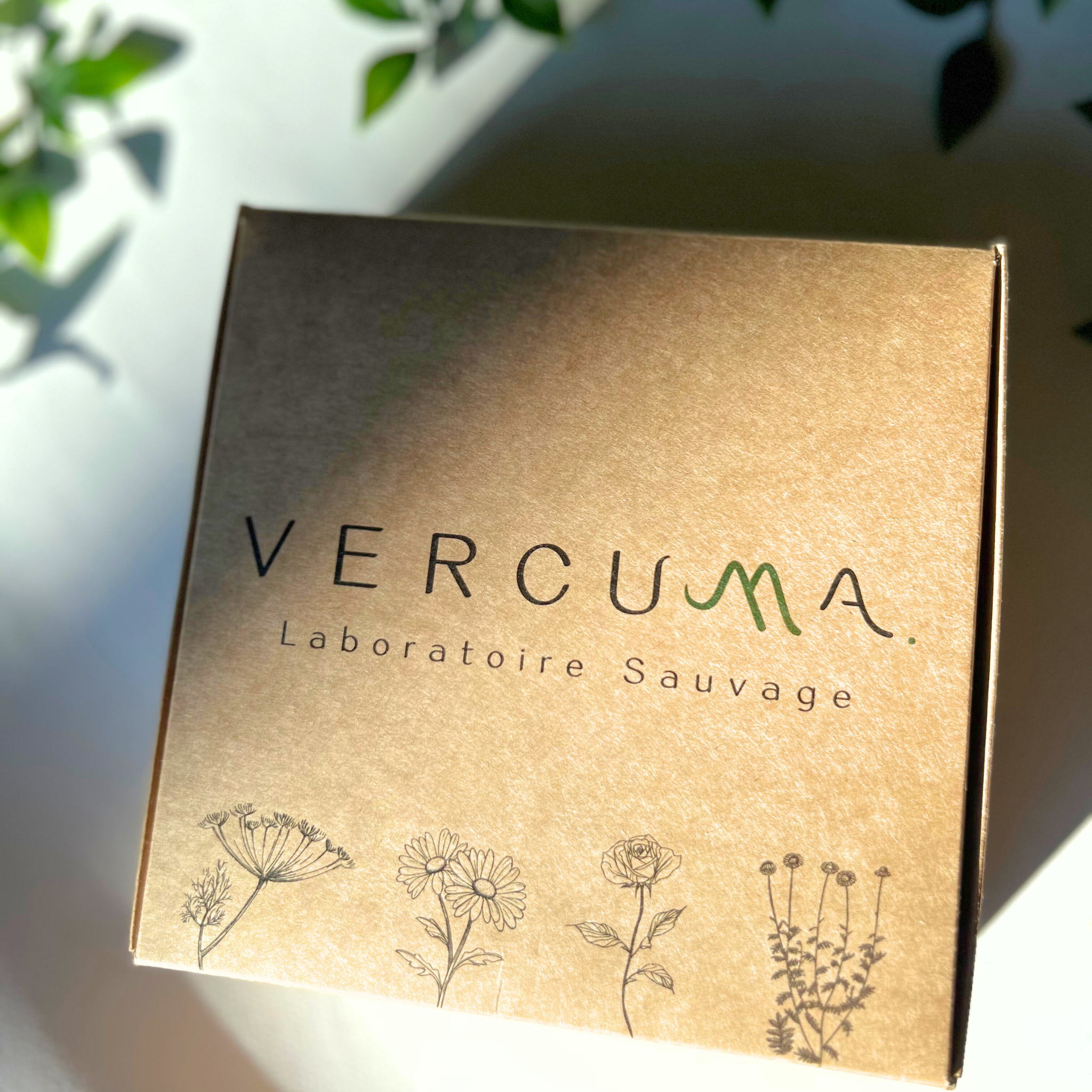 Routine Soins du Visage Réparateurs