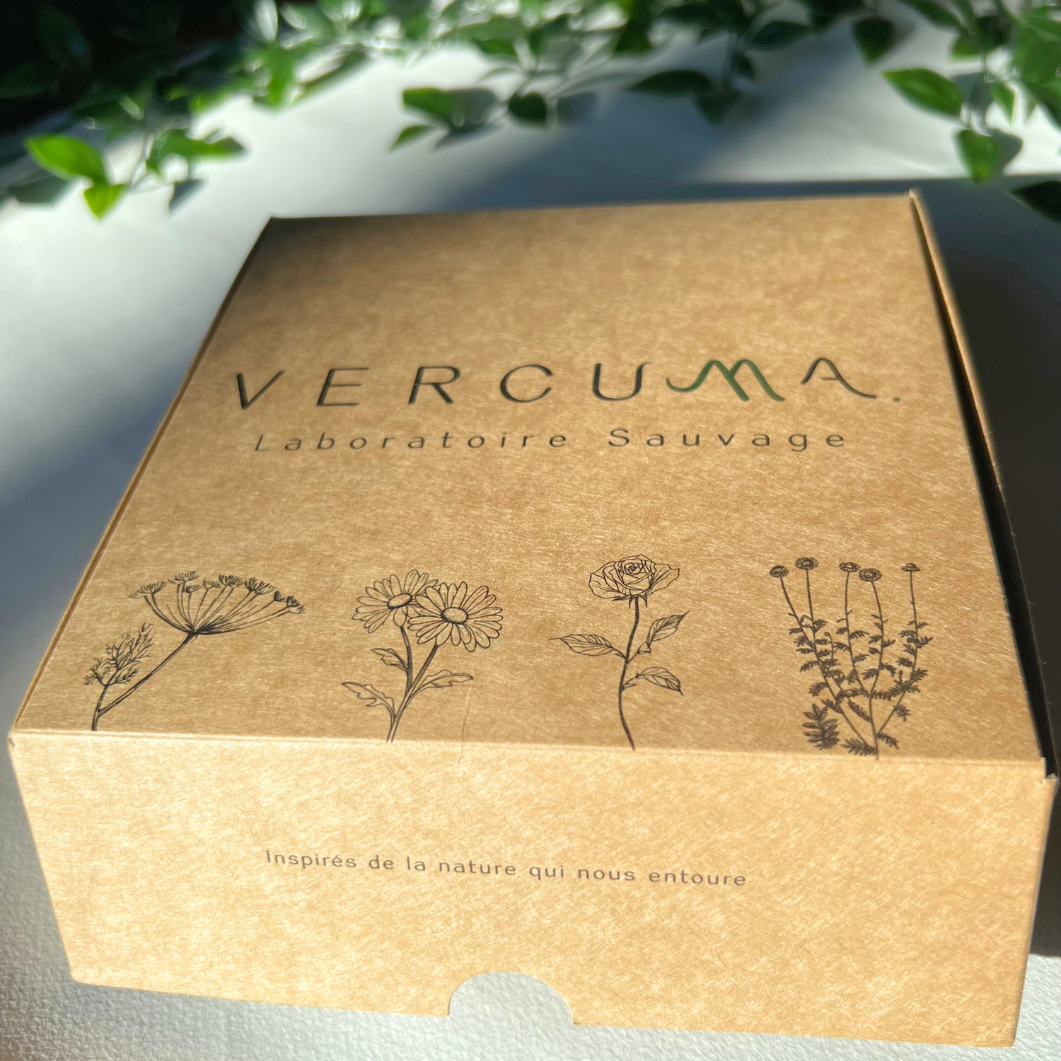 Routine Soins du Visage Réparateurs